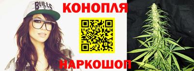 мдпв Брянск