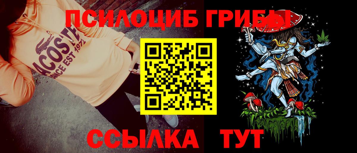Галлюциногенные грибы Psilocybe  Вход с VPN  Ростов-на-Дону  Галлюциногенные грибы прущие грибы 